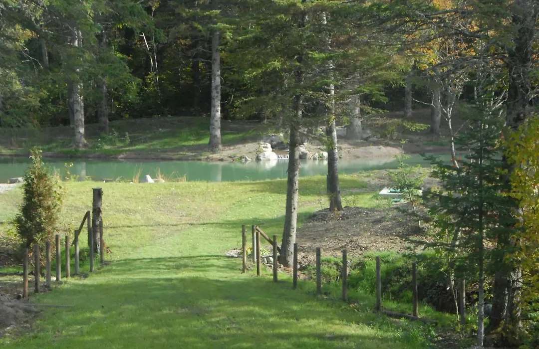 Le Domaine Du Lac Saint Charles-1